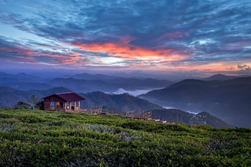 Đất nông nghiệp sổ riêng gần trung tâm, đường Mimoza, DT 1300m2, giá thích hợp đầu tư chỉ 8 tỷ