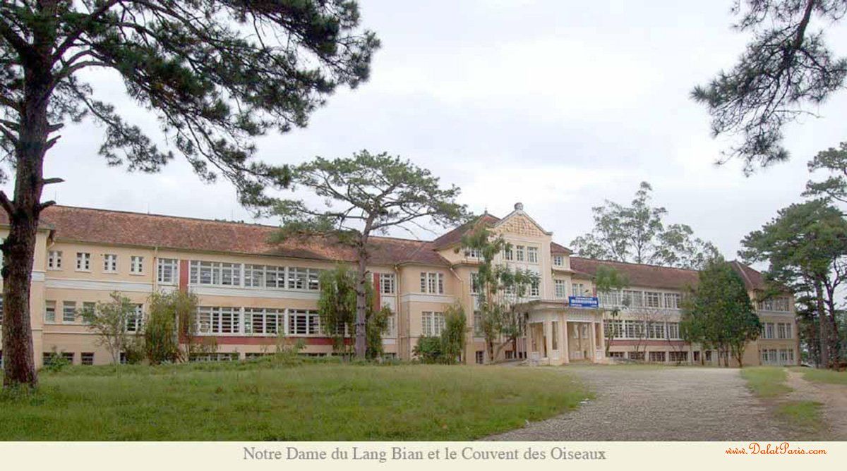 Đất Liên kế đường Kim Đồng, Phường 6, ngay trung tâm TP .Đà Lạt, cách trục đường chính 300m, cách chợ Ngô Quyền 500m, thích hợp an cư nghỉ dưỡng, giá chỉ 5,2ty