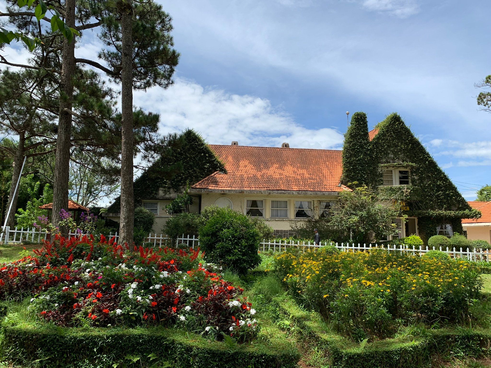 Đất biệt thự view rừng thông đẹp, P7, Tp Đà Lạt. Gần trường Cao Đẳng Du Lịch Đà Lạt, Resort Lý Nhã Kỳ. Đường ô tô. Giá: 5 tỷ