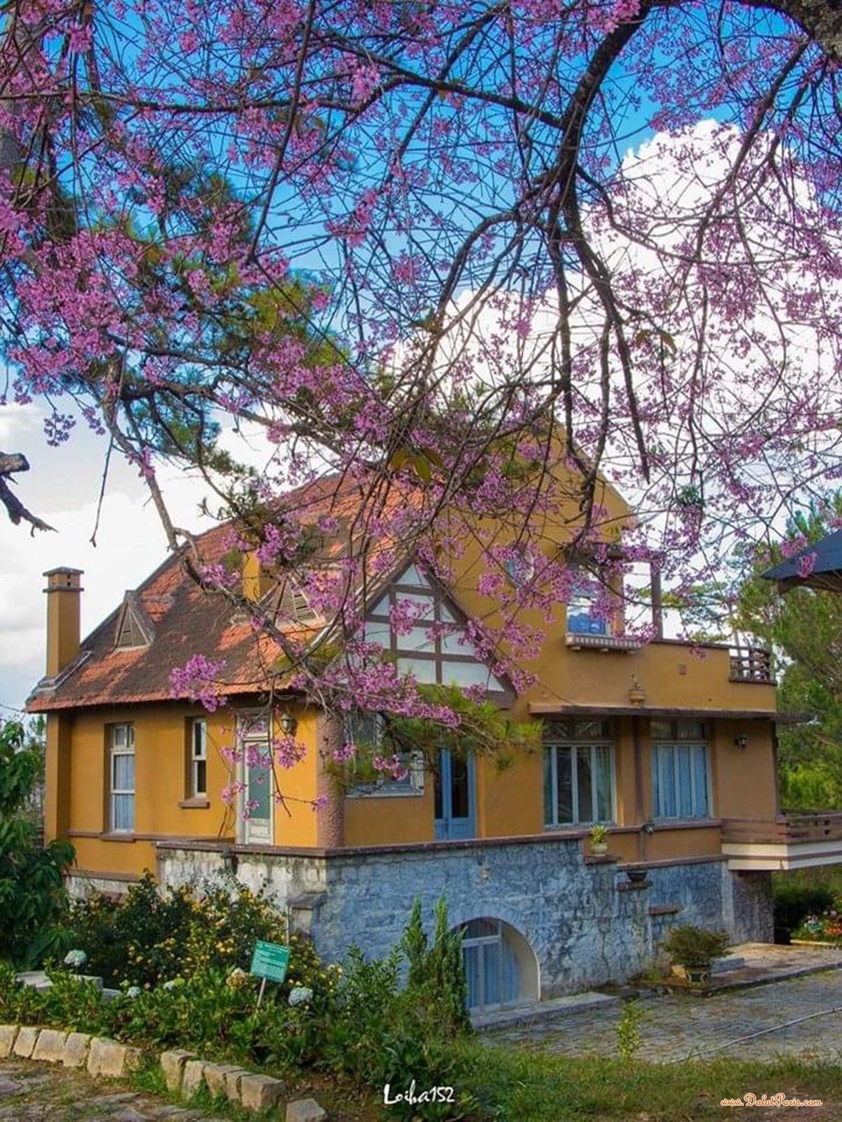 Khách sạn mặt tiền đường Đa Minh, DT 106m2, 4 lầu 12 phòng kinh doanh, cách Hồ Xuân Hương khoản 2.5km, đường nhựa ô tô, khu dân cư sầm uất Giá 13.5 tỷ