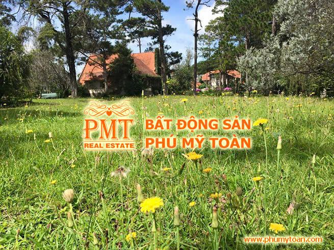 Đất nền biệt thự 2 mặt tiền đường Bạch Đằng, P07. Cách Hồ Xuân Hương 4Km, đường nhựa 10m. Diện tích: 250 m2 full thổ cư, Thích hợp An cư/Đầu tư/Kinh doanh/Nghỉ dưỡng. Giá bán: 15 tỷ
