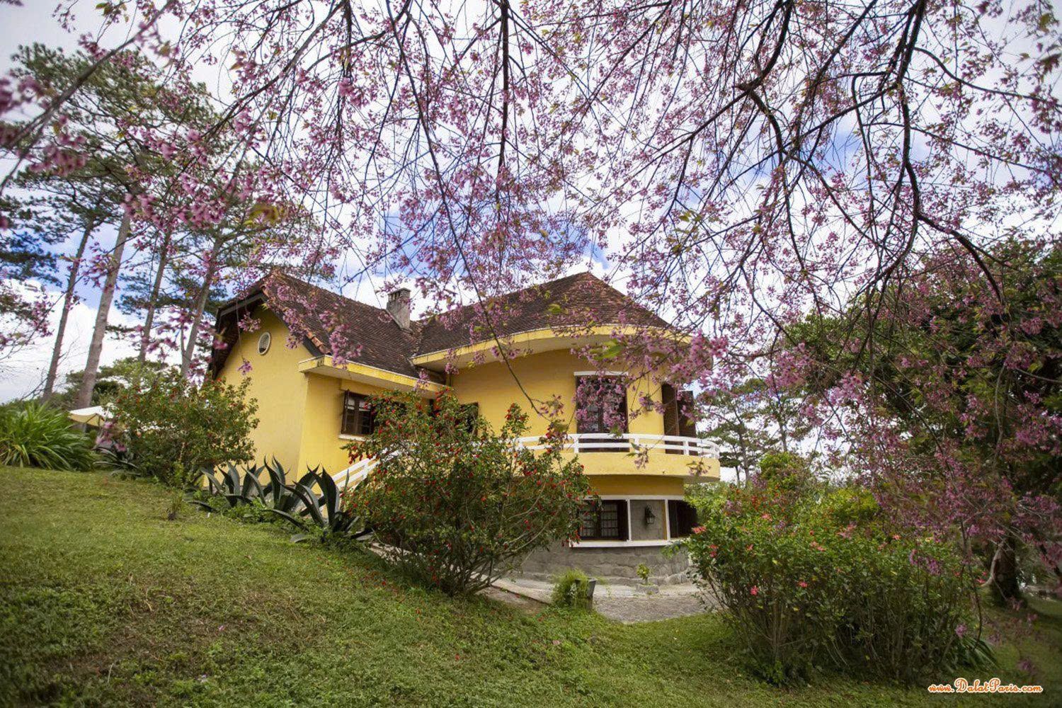 Đất biệt thự 3 mặt tiền thoáng tại Tà Nung, P. Cam Ly, Đà Lạt. DT 716.1m2, cách đường DT 725 khoản 400m, gần UBND. Thích hợp đầu tư, an cư. Giá 5.8 tỷ