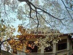 Đất biệt thự hẻm Đankia, P7, Đà Lạt. DT 677.07m2, cách Hồ Xuân Hương khoản 9km, khu dân cư an ninh, đường ô tô, view đẹp. Giá 13.9 tỷ